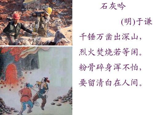 聚焦|张文宏：就地过年是为全中国人做贡献，不是理所应当